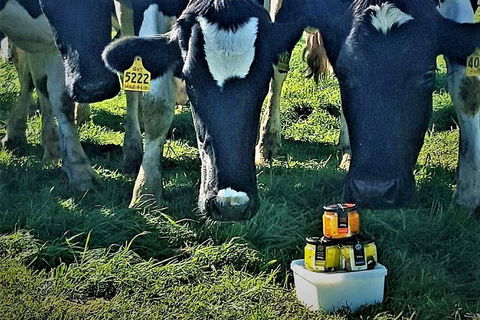 Artisan Cheese Tastings And Sales - Accommodation Cooktown 11