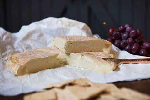 Artisan Cheese Tastings And Sales - Accommodation Cooktown 8