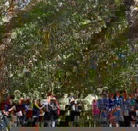 Breakfast Bushwalk Tour in Captain Cook's Monument - Accommodation Cooktown