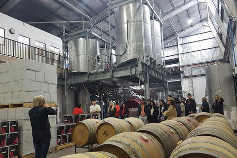 Hunter Valley Small Group Wine, Gin, Cheese & Chocolate Tour - Accommodation Cooktown 6