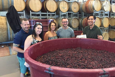 Hunter Valley Small Group Wine, Gin, Cheese & Chocolate Tour - Accommodation Cooktown 0