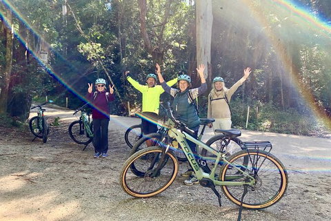 Guided E Bike Tour - Unicorn Falls & National Park - Accommodation Cooktown 3