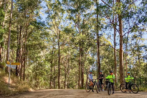 Guided E Bike Tour - Unicorn Falls & National Park - Accommodation Cooktown 10