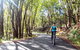 Guided E Bike Tour - Unicorn Falls & National Park - thumb 16
