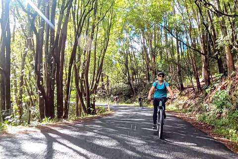Guided E Bike Tour - Unicorn Falls & National Park - Accommodation Cooktown 16