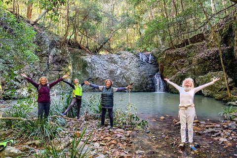 Guided E Bike Tour - Unicorn Falls & National Park - Accommodation Cooktown 8