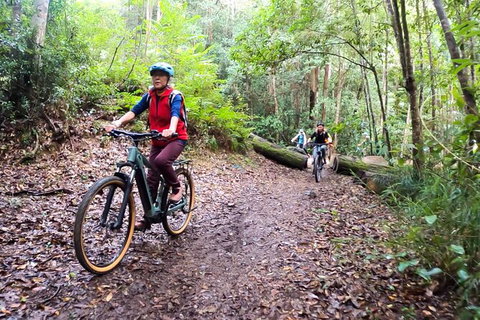 Guided E Bike Tour - Unicorn Falls & National Park - Accommodation Cooktown 9