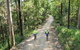 Guided E Bike Tour - Unicorn Falls & National Park - thumb 7