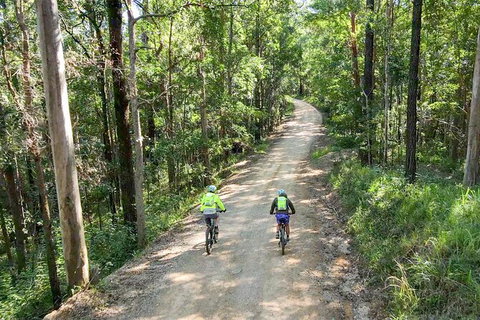 Guided E Bike Tour - Unicorn Falls & National Park - Accommodation Cooktown 7
