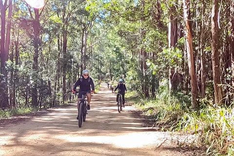 Guided E Bike Tour - Unicorn Falls & National Park - Accommodation Cooktown 6