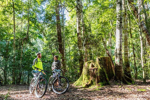 Guided E Bike Tour - Unicorn Falls & National Park - Accommodation Cooktown 14