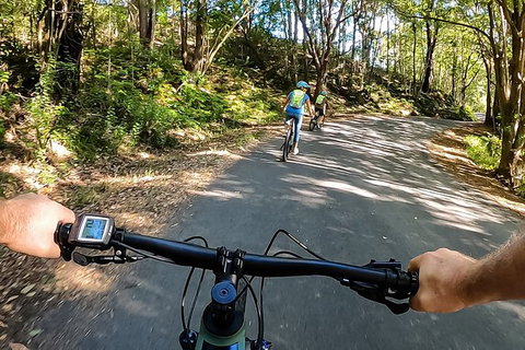 Guided E Bike Tour - Unicorn Falls & National Park - Accommodation Cooktown 1