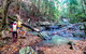 Guided E Bike Tour - Unicorn Falls & National Park - thumb 17