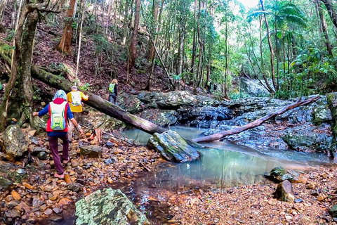 Guided E Bike Tour - Unicorn Falls & National Park - Accommodation Cooktown 17