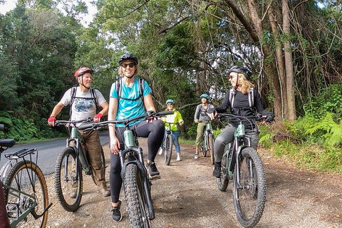 Guided E Bike Tour - Unicorn Falls & National Park - Accommodation Cooktown 11