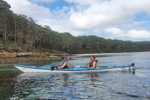 Half-Day Jervis Bay Sea Kayak Tour - Accommodation Cooktown 6