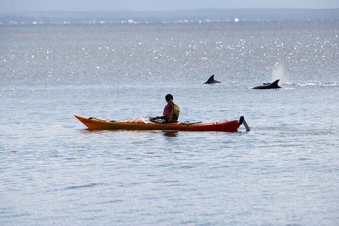 Half-Day Jervis Bay Sea Kayak Tour - Accommodation Cooktown 4