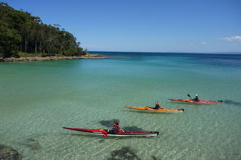 Half-Day Jervis Bay Sea Kayak Tour - Accommodation Cooktown 3