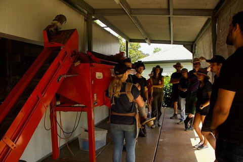 Pecan Farm Tour And Workshop, Byron Bay Hinterland - Accommodation Cooktown 4