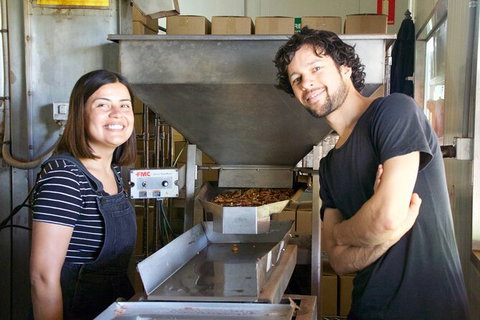 Pecan Farm Tour And Workshop, Byron Bay Hinterland - Accommodation Cooktown 7