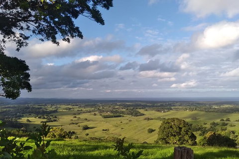 Pecan Farm Tour And Workshop, Byron Bay Hinterland - Accommodation Cooktown 1