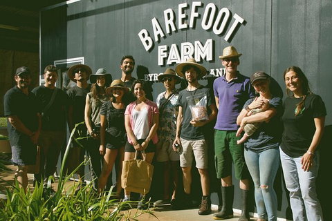 Pecan Farm Tour And Workshop, Byron Bay Hinterland - Accommodation Cooktown 0