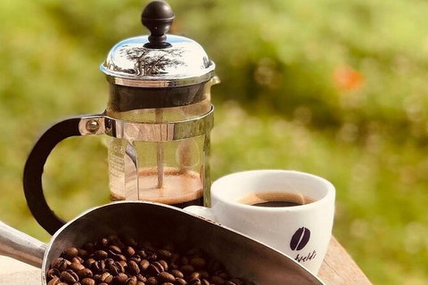 Coffee Farm Tour And Workshop, Byron Bay Hinterland - Accommodation Cooktown 0