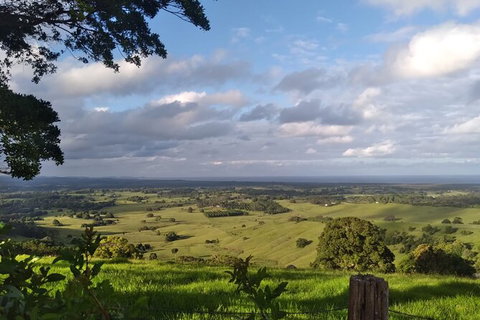 Coffee Farm Tour And Workshop, Byron Bay Hinterland - Accommodation Cooktown 4