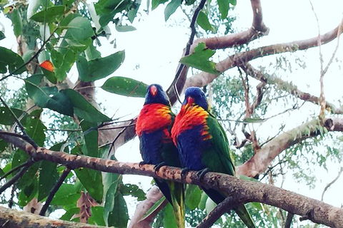 Central Coast Private Tour From Sydney, Plus Included Australian Reptile Park - Accommodation Cooktown 7