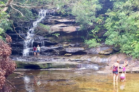 Central Coast Private Tour From Sydney, Plus Included Australian Reptile Park - Accommodation Cooktown 6