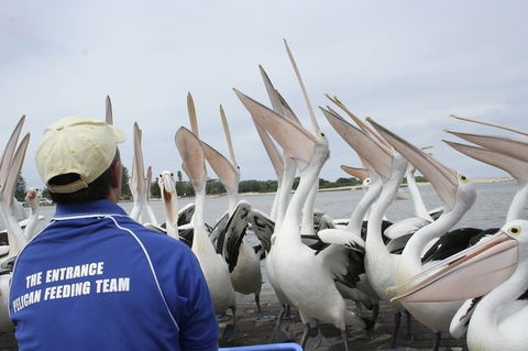 Central Coast Private Tour From Sydney, Plus Included Australian Reptile Park - Accommodation Cooktown 4