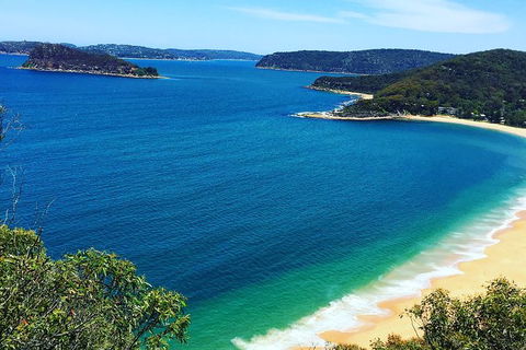 Central Coast Private Tour From Sydney, Plus Included Australian Reptile Park - Accommodation Cooktown 0