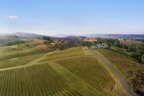 Audrey Wilkinson Vineyard: Fromage And Fortified Wine Experience - Accommodation Cooktown 1