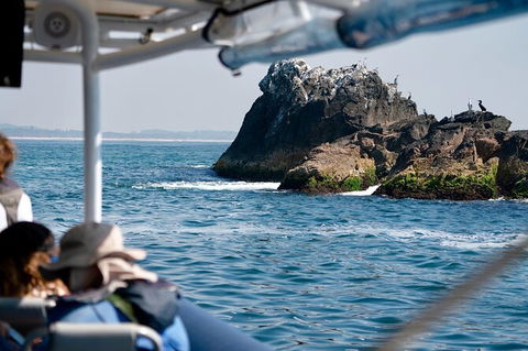 Julian Rocks Byron Bay Cruise - Accommodation Cooktown 20