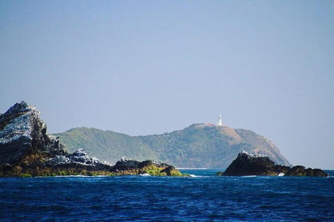 Julian Rocks Byron Bay Cruise - Accommodation Cooktown 2