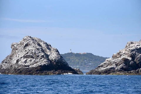 Julian Rocks Byron Bay Cruise - Accommodation Cooktown 14