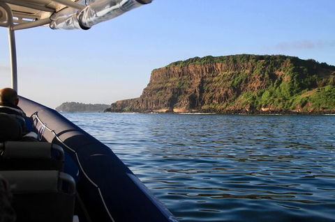 Julian Rocks Byron Bay Cruise - Accommodation Cooktown 17