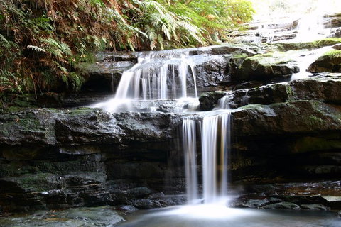 Private 10-hour Tour To Blue Mountains From Sydney - Hotel Pick Up & Drop Off - Accommodation Cooktown 6