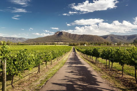 Hunter Valley Highlights Private Wine Tour From Sydney - Accommodation Cooktown 2
