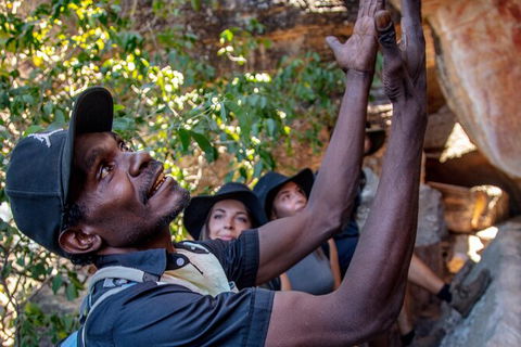 Arnhem Land Injalak Hill Full-Day Tour From Jabiru - Accommodation Cooktown 0