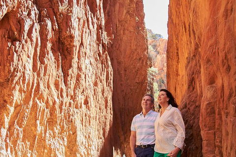 Best Of Alice Springs Full Day Tour - Accommodation Cooktown 4