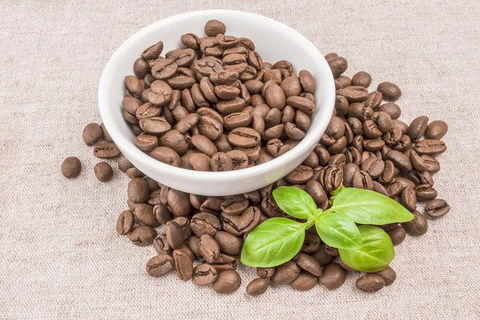 Boutique Atherton Tablelands Small-Group Food And Wine Tasting Tour From Cairns - Accommodation Cooktown 22