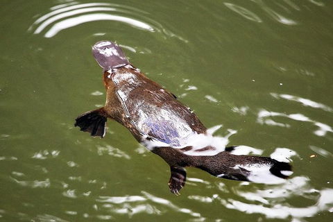 Boutique Atherton Tablelands Small-Group Food And Wine Tasting Tour From Cairns - Accommodation Cooktown 2