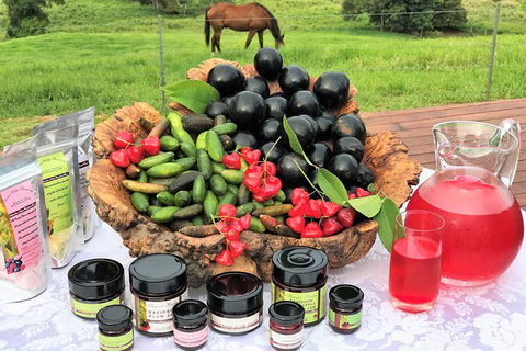 Boutique Atherton Tablelands Small-Group Food And Wine Tasting Tour From Cairns - Accommodation Cooktown 10