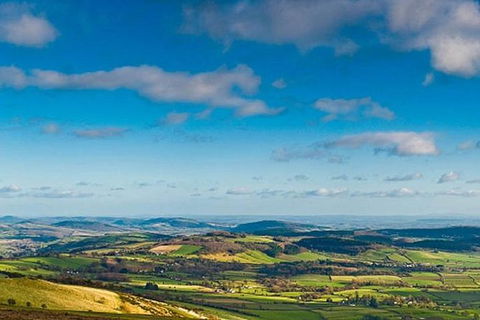 Boutique Atherton Tablelands Small-Group Food And Wine Tasting Tour From Cairns - Accommodation Cooktown 4