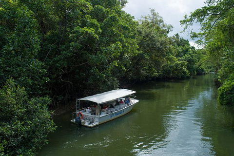Daintree Rainforest, Cape Tribulation And Bloomfield Track Small Group Tour - Accommodation Cooktown 5