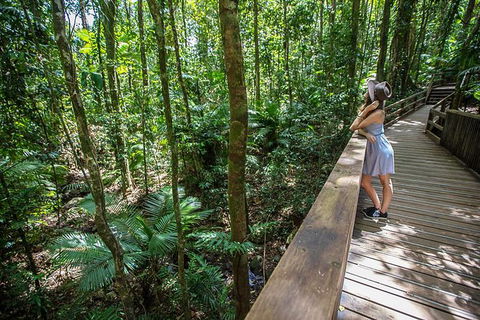 Daintree Rainforest, Cape Tribulation And Bloomfield Track Small Group Tour - Accommodation Cooktown 3