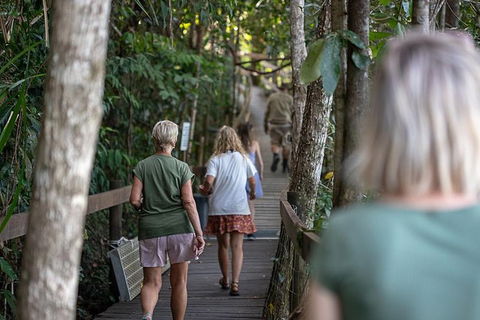 Daintree Rainforest, Cape Tribulation And Bloomfield Track Small Group Tour - Accommodation Cooktown 15