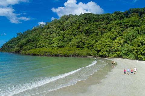 Daintree Rainforest, Cape Tribulation And Bloomfield Track Small Group Tour - Accommodation Cooktown 2