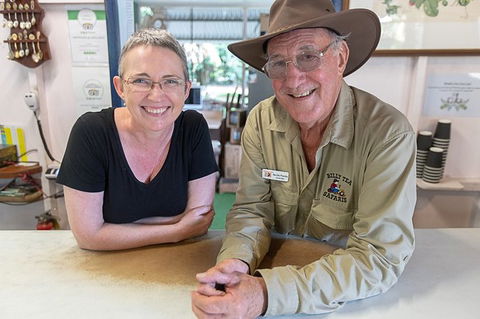 Daintree Rainforest, Cape Tribulation And Bloomfield Track Small Group Tour - Accommodation Cooktown 6